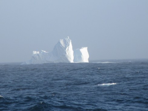Iceberg